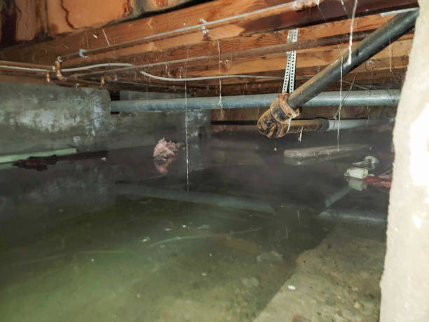 Best Fire Damage Restoration  in Stilwell, OK