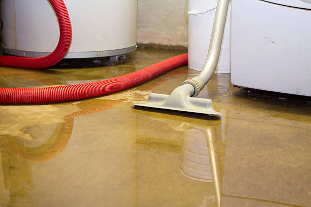 Best Carpet water damage restoration  in Stilwell, OK