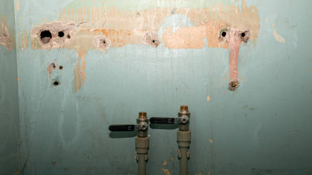 Best 24/7 water damage repair  in Stilwell, OK
